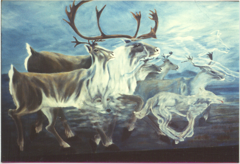 Caribou